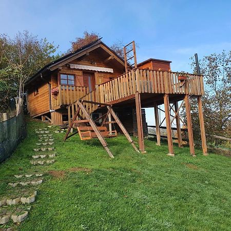 Gnezdo Vid-Ik Villa Catez ob Savi Luaran gambar