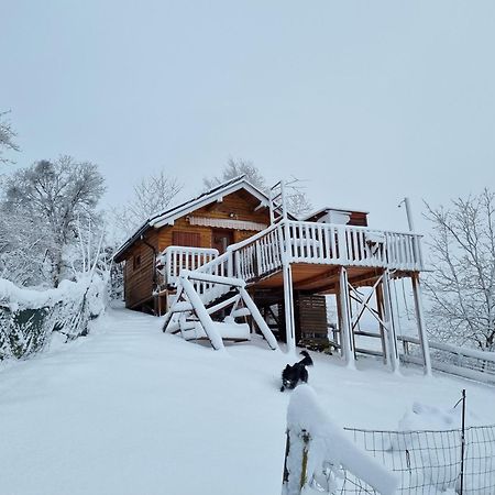 Gnezdo Vid-Ik Villa Catez ob Savi Luaran gambar