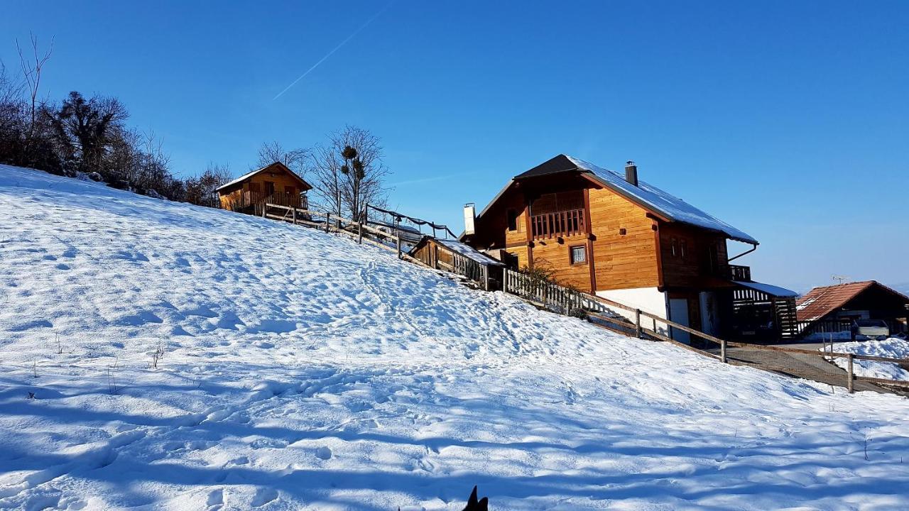 Gnezdo Vid-Ik Villa Catez ob Savi Luaran gambar