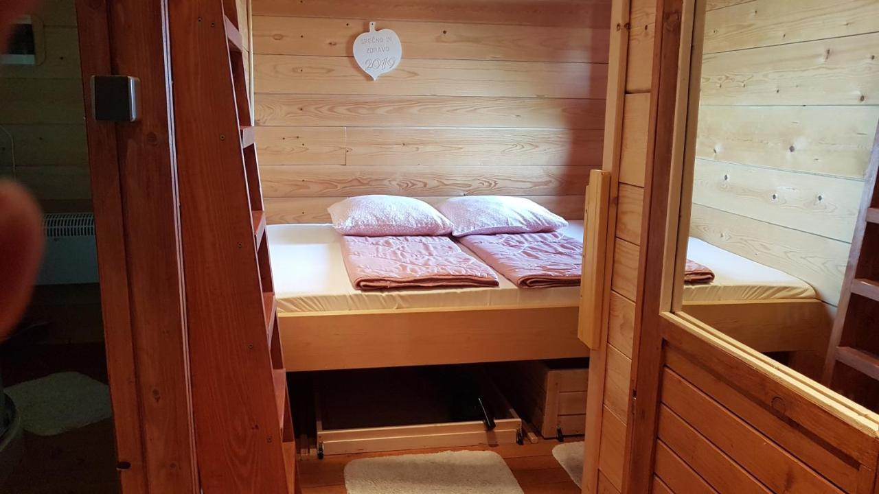Gnezdo Vid-Ik Villa Catez ob Savi Luaran gambar