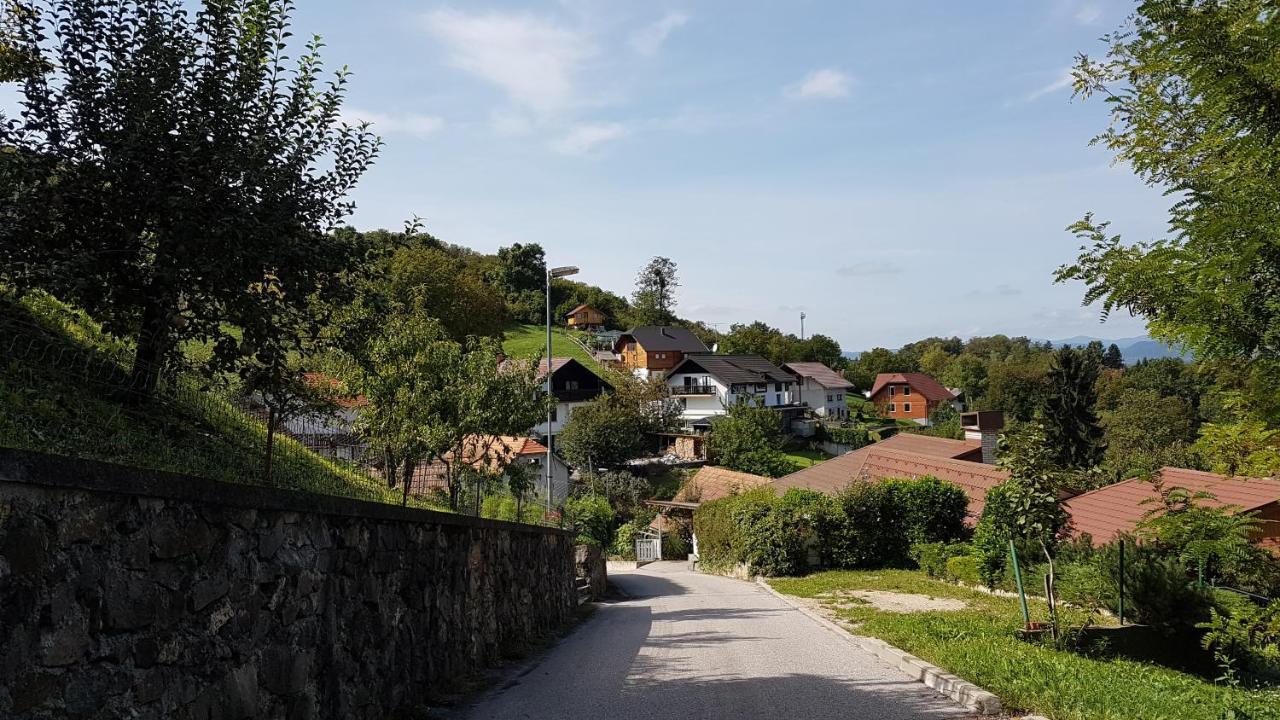 Gnezdo Vid-Ik Villa Catez ob Savi Luaran gambar