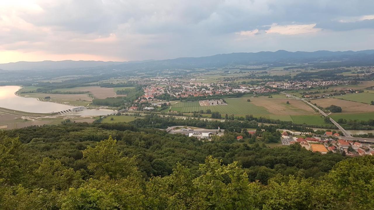 Gnezdo Vid-Ik Villa Catez ob Savi Luaran gambar