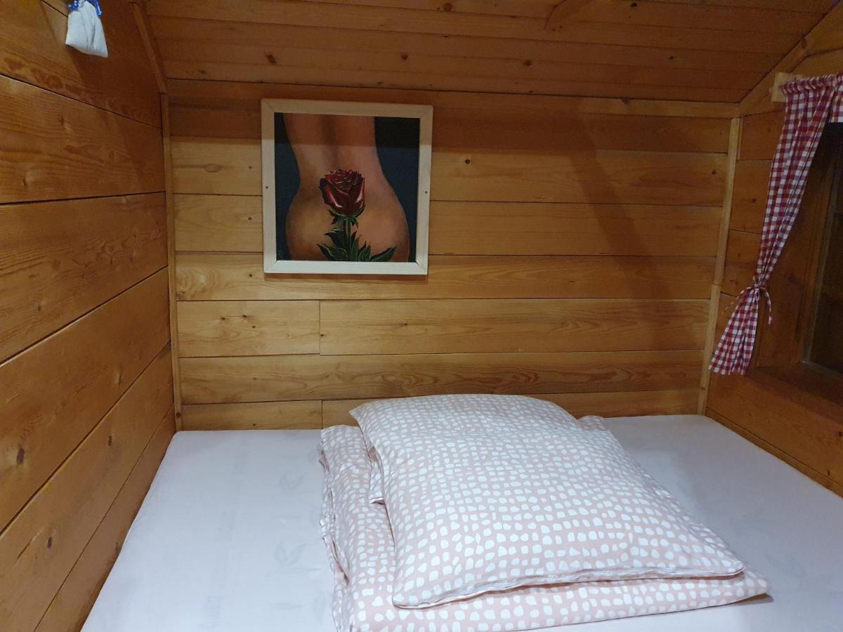 Gnezdo Vid-Ik Villa Catez ob Savi Luaran gambar