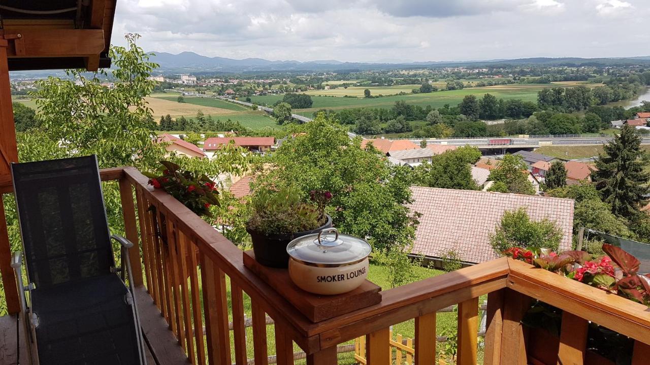 Gnezdo Vid-Ik Villa Catez ob Savi Luaran gambar