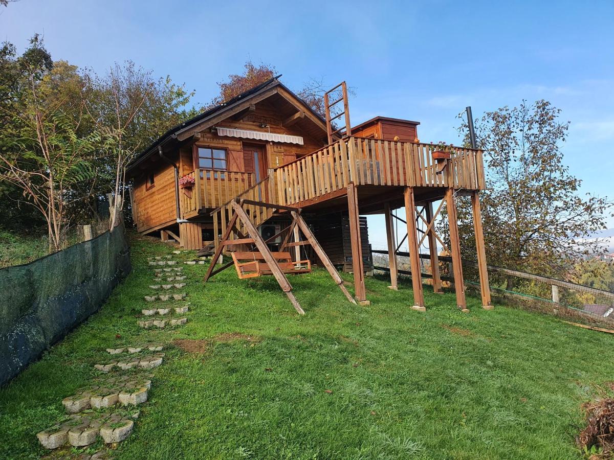 Gnezdo Vid-Ik Villa Catez ob Savi Luaran gambar