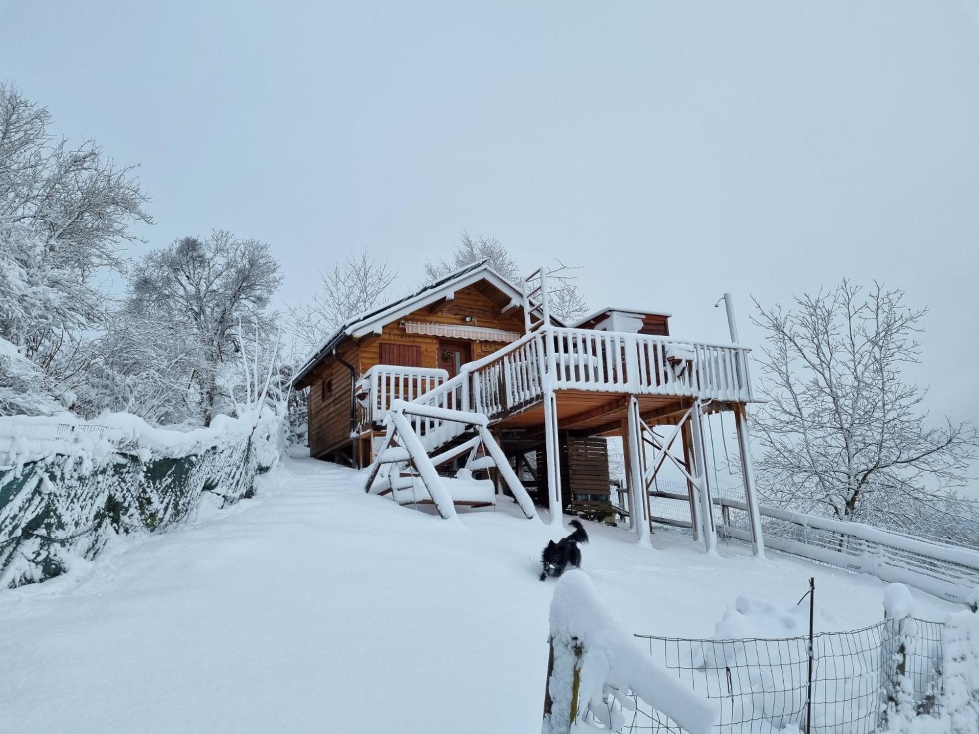 Gnezdo Vid-Ik Villa Catez ob Savi Luaran gambar